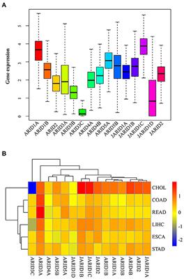 Expression Signature of the AT-Rich Interactive Domain Gene Family Identified in Digestive Cancer